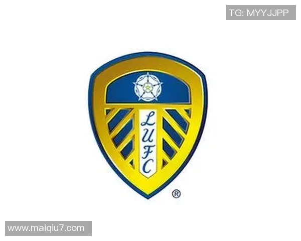 足球队logo设计的艺术与文化内涵探讨与分析