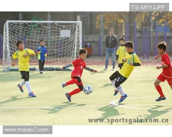 足球锦标赛的精彩瞬间与历史回顾探讨各国球队的竞争与合作精神